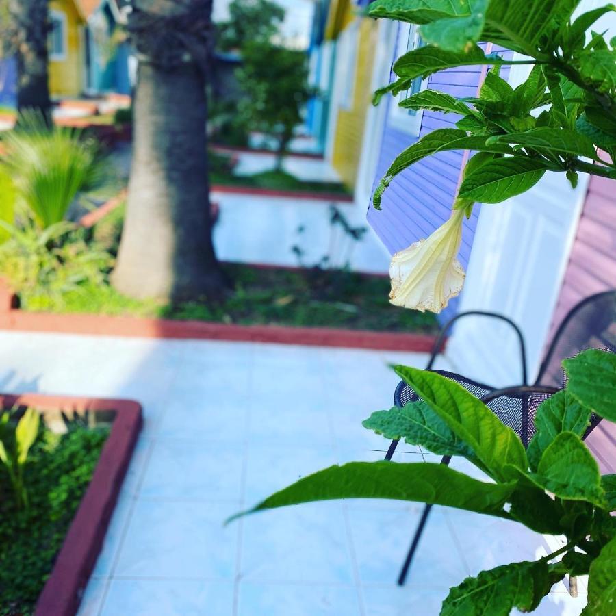 Cuba Beach Hotel Side Exterior foto
